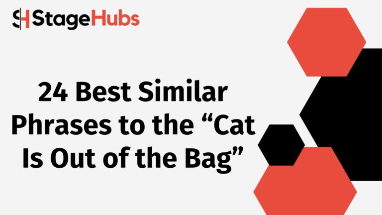 24 Best Similar Phrases to the “Cat Is Out of the Bag”